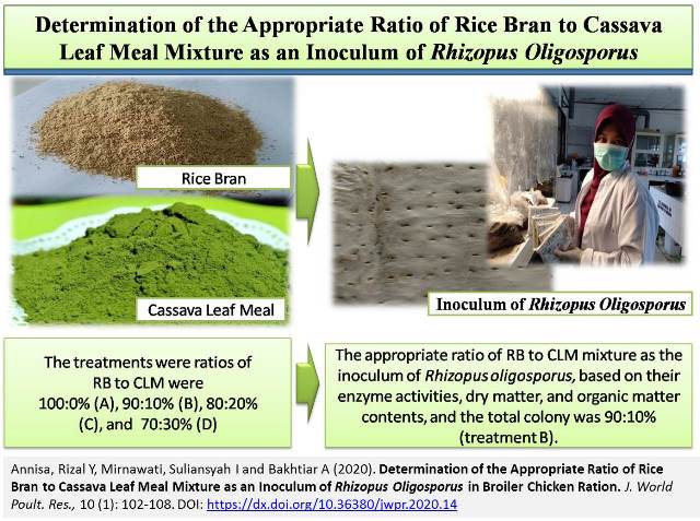 1163_0-Rice_Bran__Cassava_Leaf_Mixture_as_Inoculum_of_Rhizopus_Oligosporus