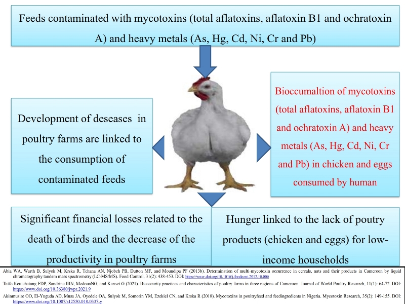 129-Mycotoxins_and_Heavy_Metals_of_Poultry_Feeds