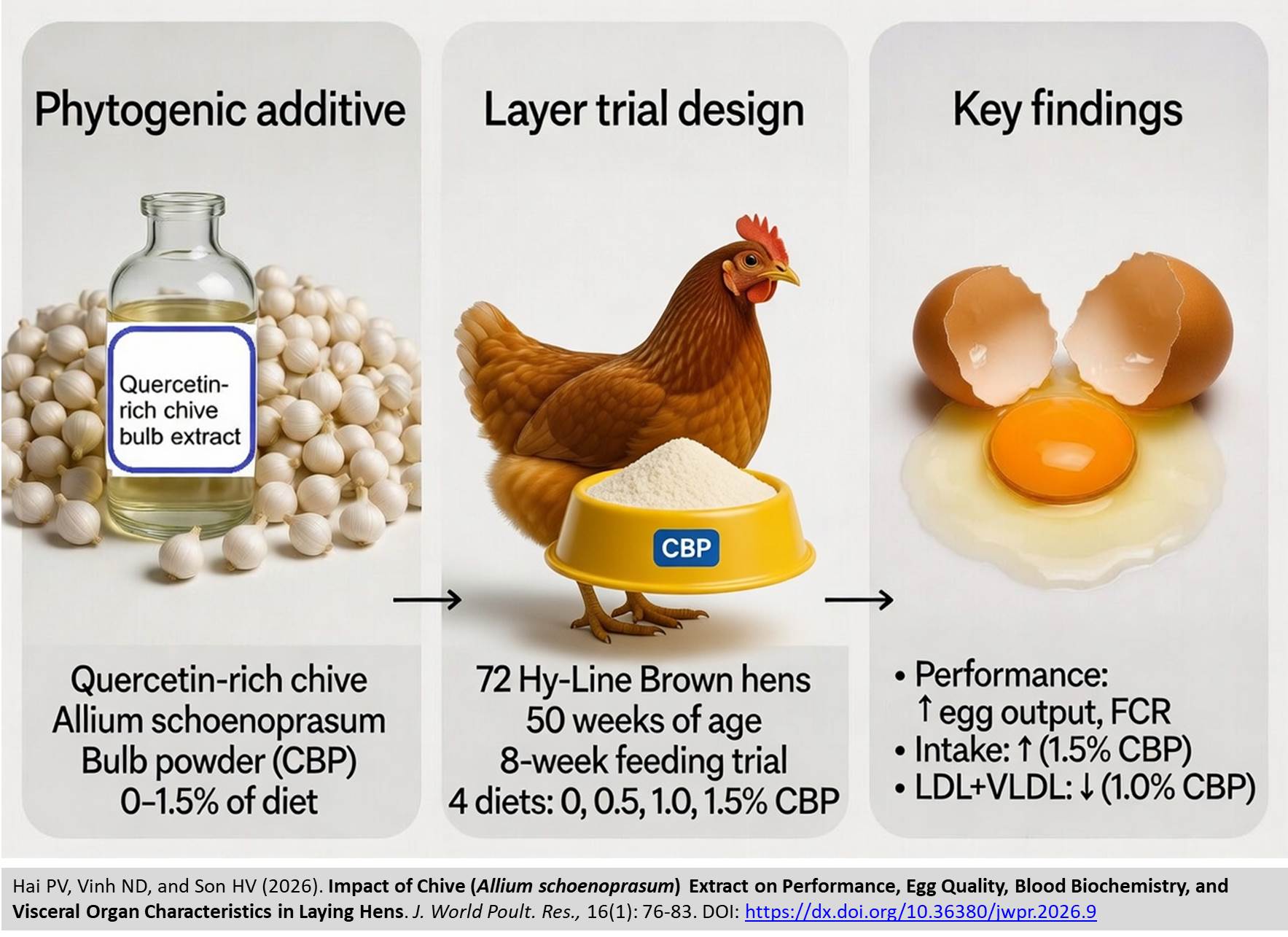 510-Impact_of_Chive_Allium_schoenoprasum_Extract_on_Laying_Hens