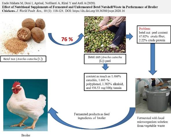 1153_0-Fermented_and_Unfermented_Betel_Nutshell_Waste_for_Broiler