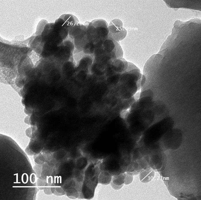Antibacterial_Properties_of_Zinc_Oxide_Nanoparticles