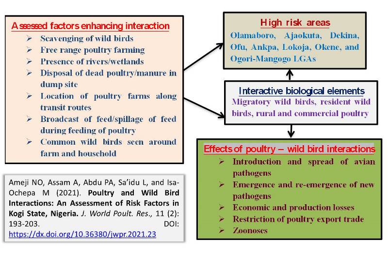 1246-Poultry_and_Wild_Bird_Interactions