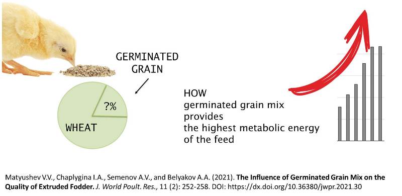1600-1-Germinated_Grain_Mix_on_Quality_of_Fodder