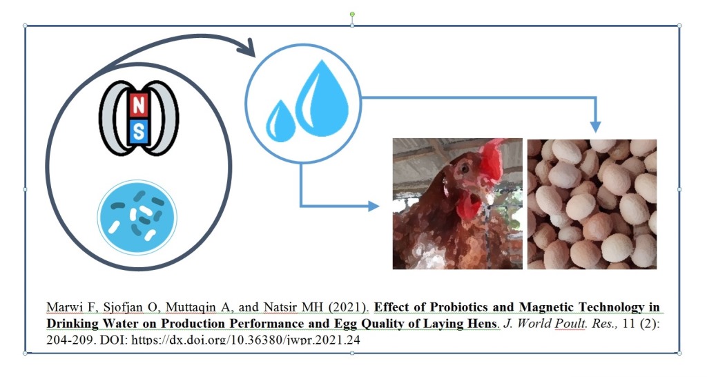 29-Probiotics_and_Magnetic_Technology_in_Drinking_Water_on_Performance_of_Laying_Hens