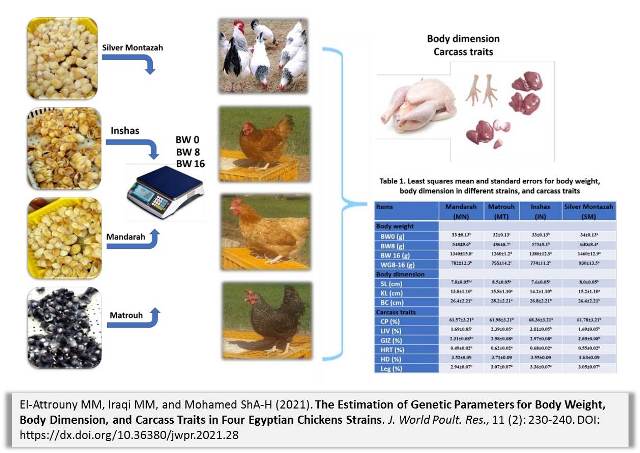 44-Genetic_of_Body_Weight_Carcass_in_Chickens_Strains