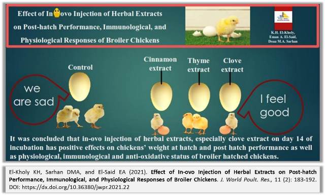 46-In-ovo_Injection_of_Herbal_Extracts_on_Broiler