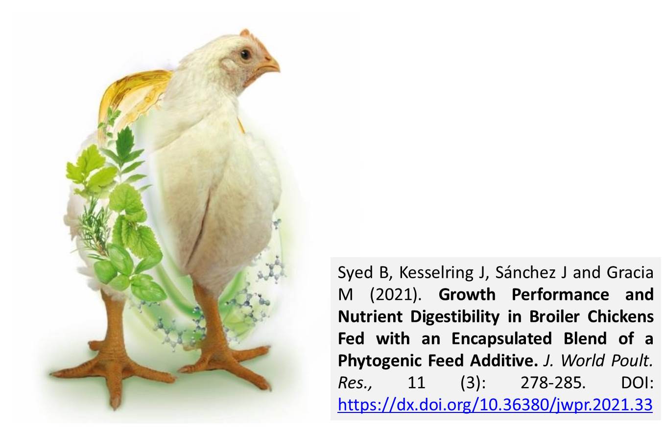 49--_Broiler_Chickens_Fed_with_an_Encapsulated_Blend_of_a_Phytogenic_Feed_Additive