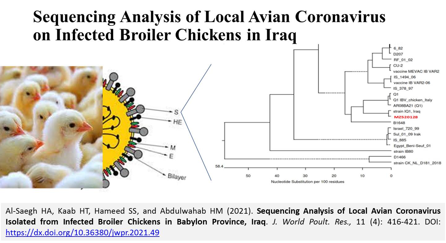 66--Local_Avian_Coronavirus