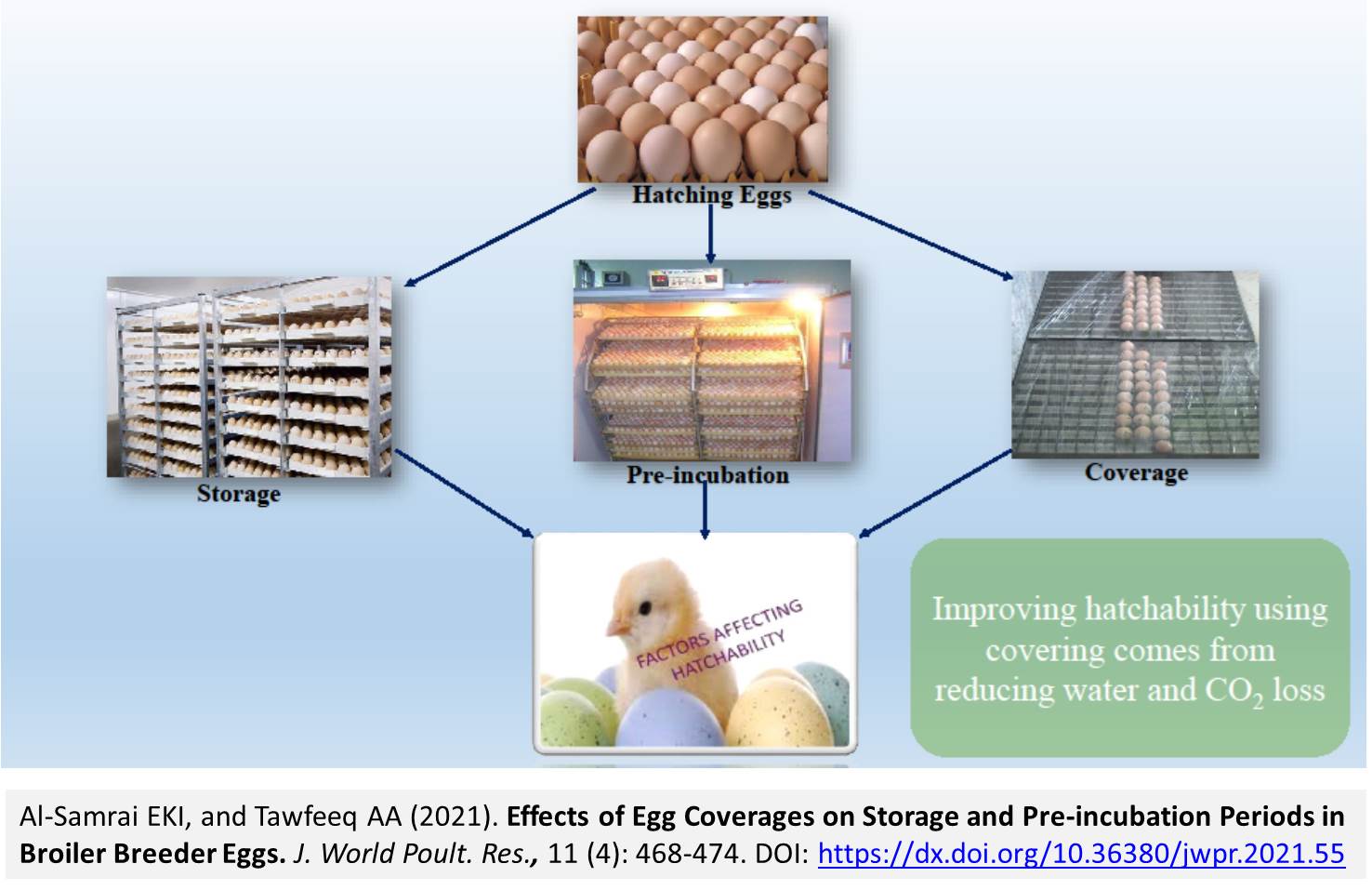 79-Egg_Coverages_on_Storage_and_Pre-incubation_Periods_