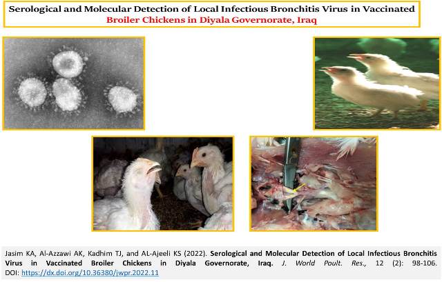 139-Infectious_Bronchitis_Virus