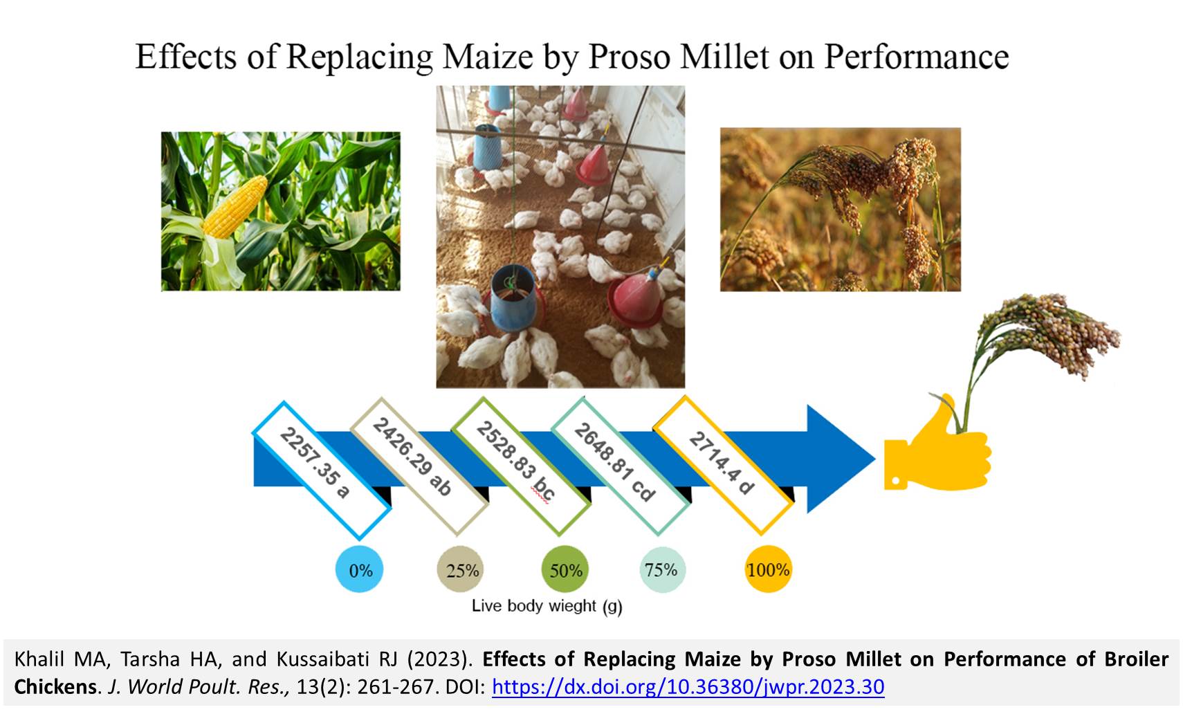 198-Replacing_Maize_by_Proso_Millet_on_Performance_of_Broiler