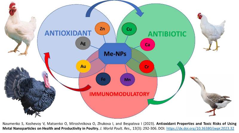 200-Metal_Nanoparticles_in_Poultry