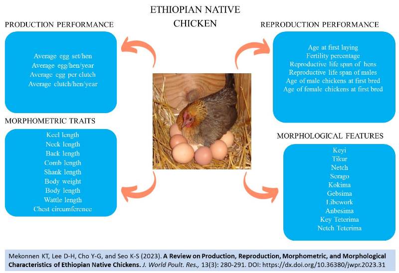 232-Production_Reproduction_Morphometric_Morphological