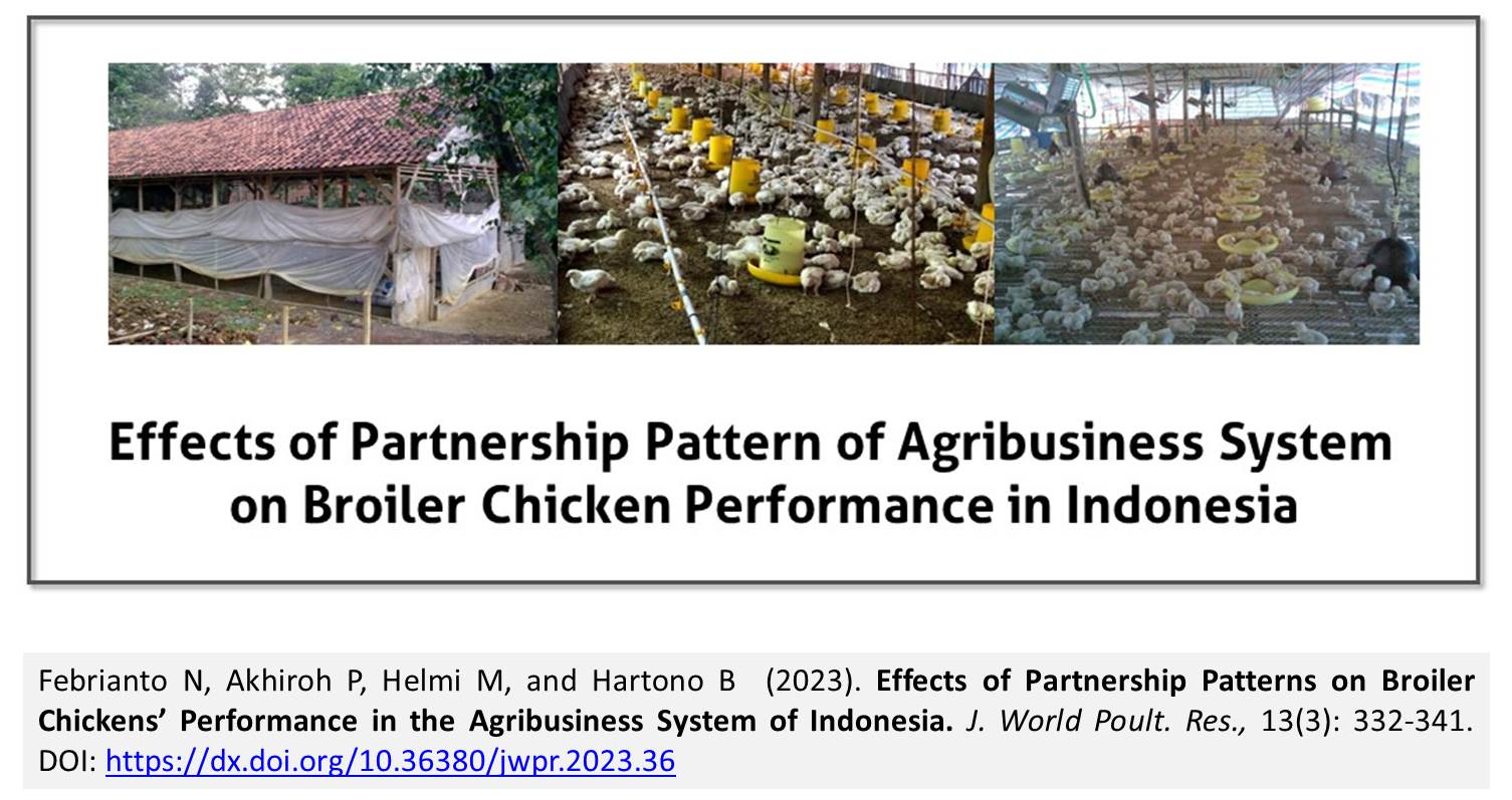 239-Effects_of_Partnership_Patterns_on_Broiler