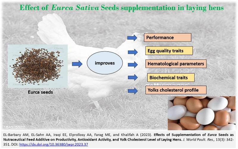243-Eurca_Seeds_as_Nutraceutical_Feed_Additive_on_Laying_Hens