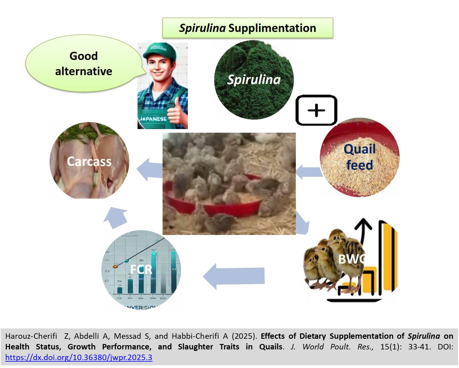388-Spirulina_on_Health_Status_Growth_Performance_and_Slaughter_Traits_in_Quails