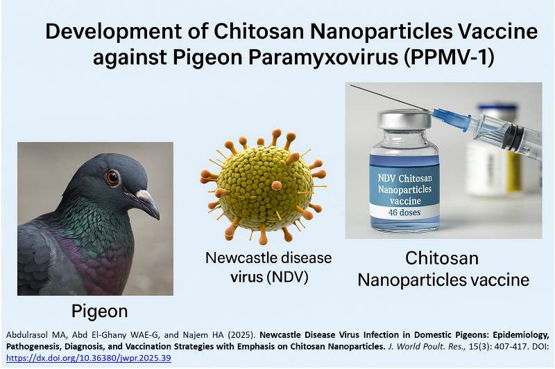 432-Newcastle_Disease_Virus_Infection