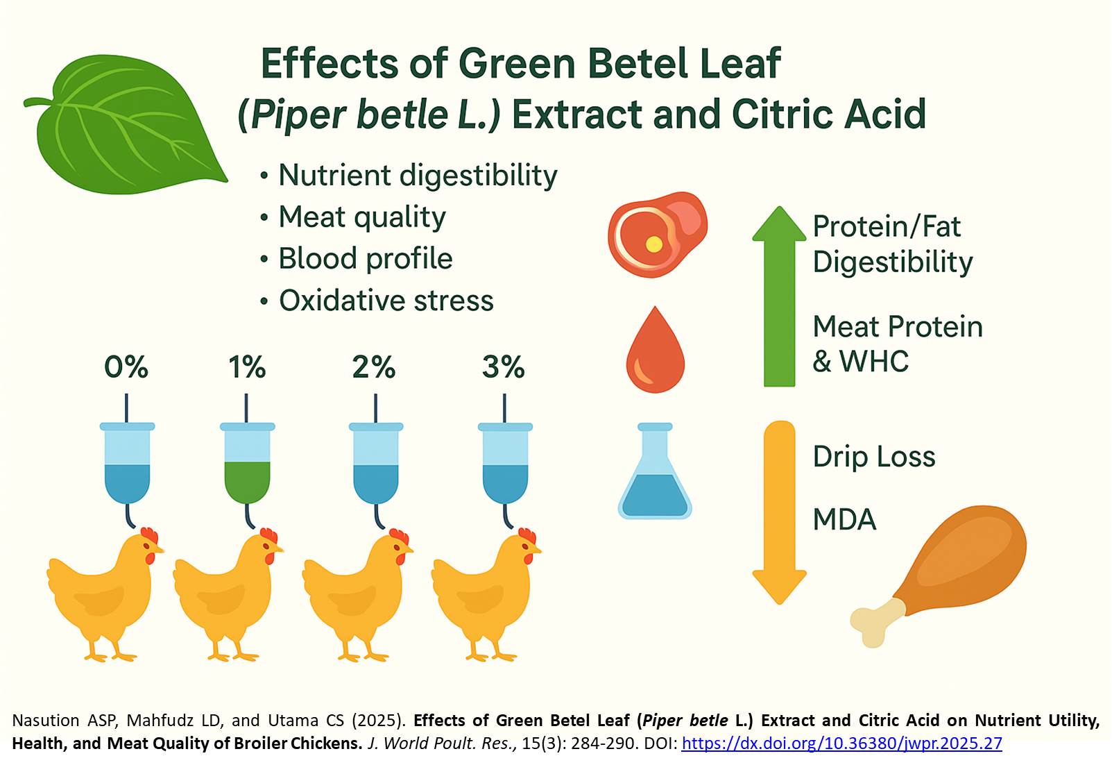 448-Green_Betel_Leaf_Piper_betle_L._Extract_and_Citric_Acid_on_broiler