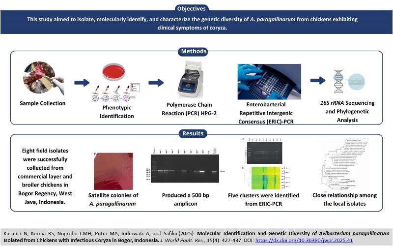 449-avibacterium_paragallinarum
