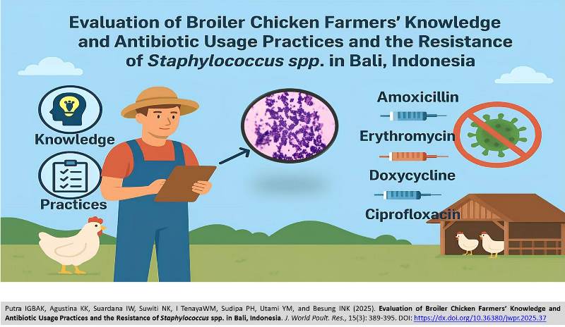 461-Broiler_Chicken_Farmers