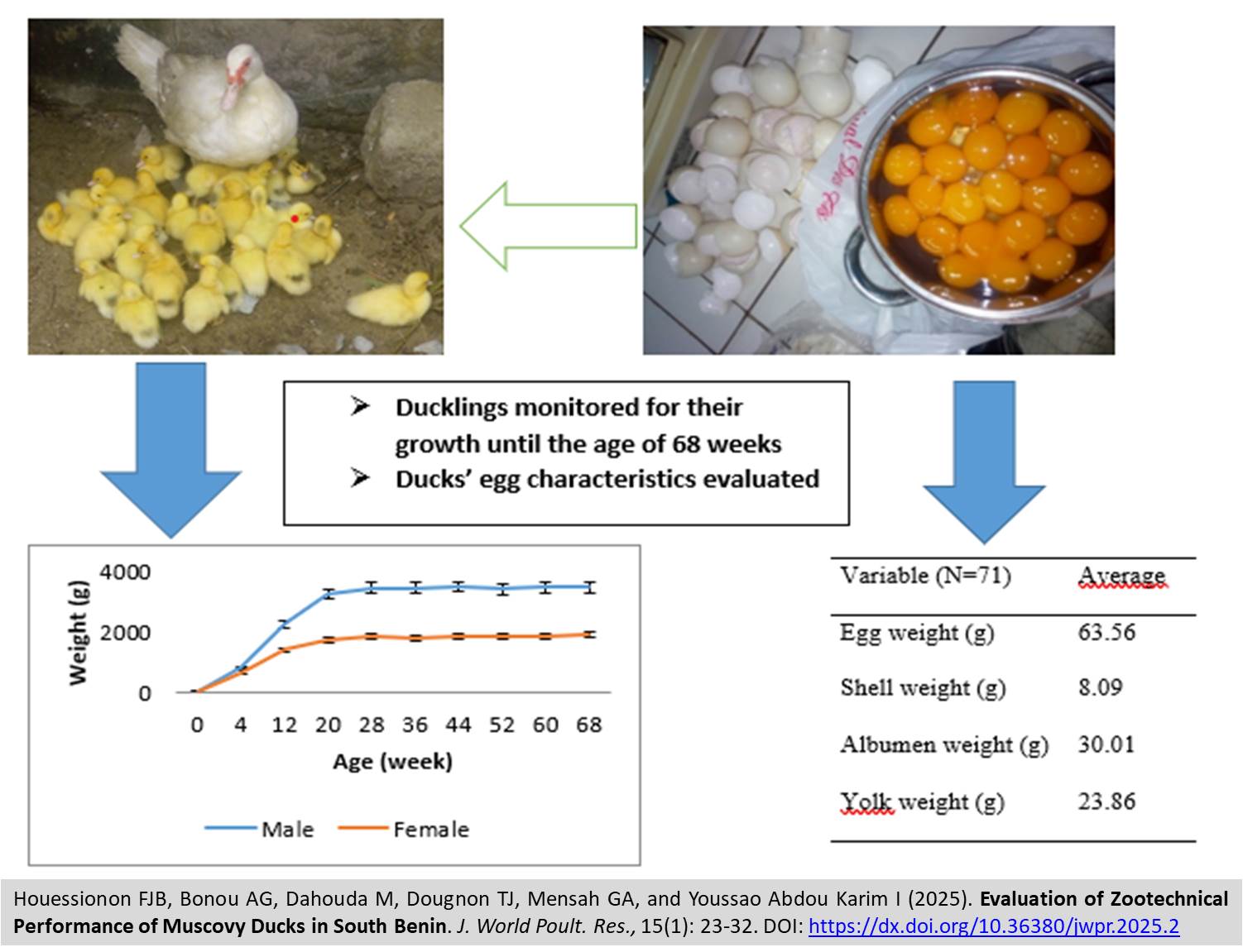 96-Evaluation_of_Zootechnical_Performance_of_Muscovy_Ducks_in_South_Benin