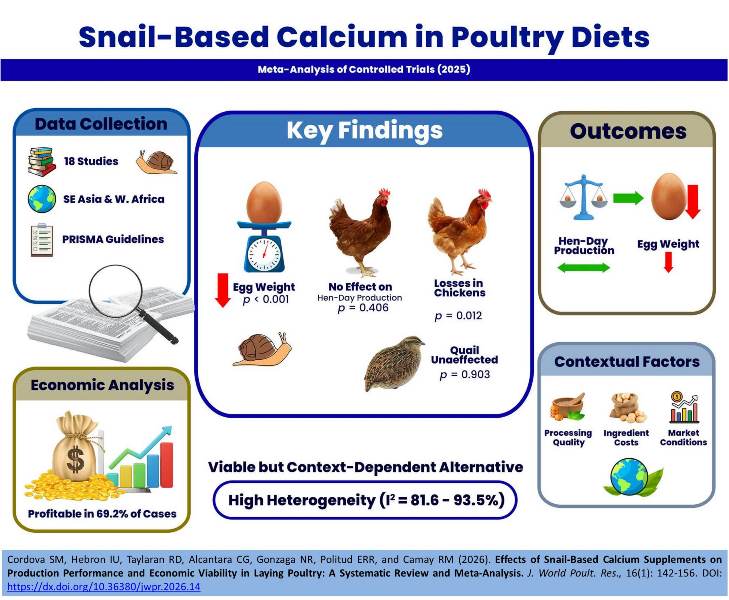 531-Snail_based_calcium_supplements