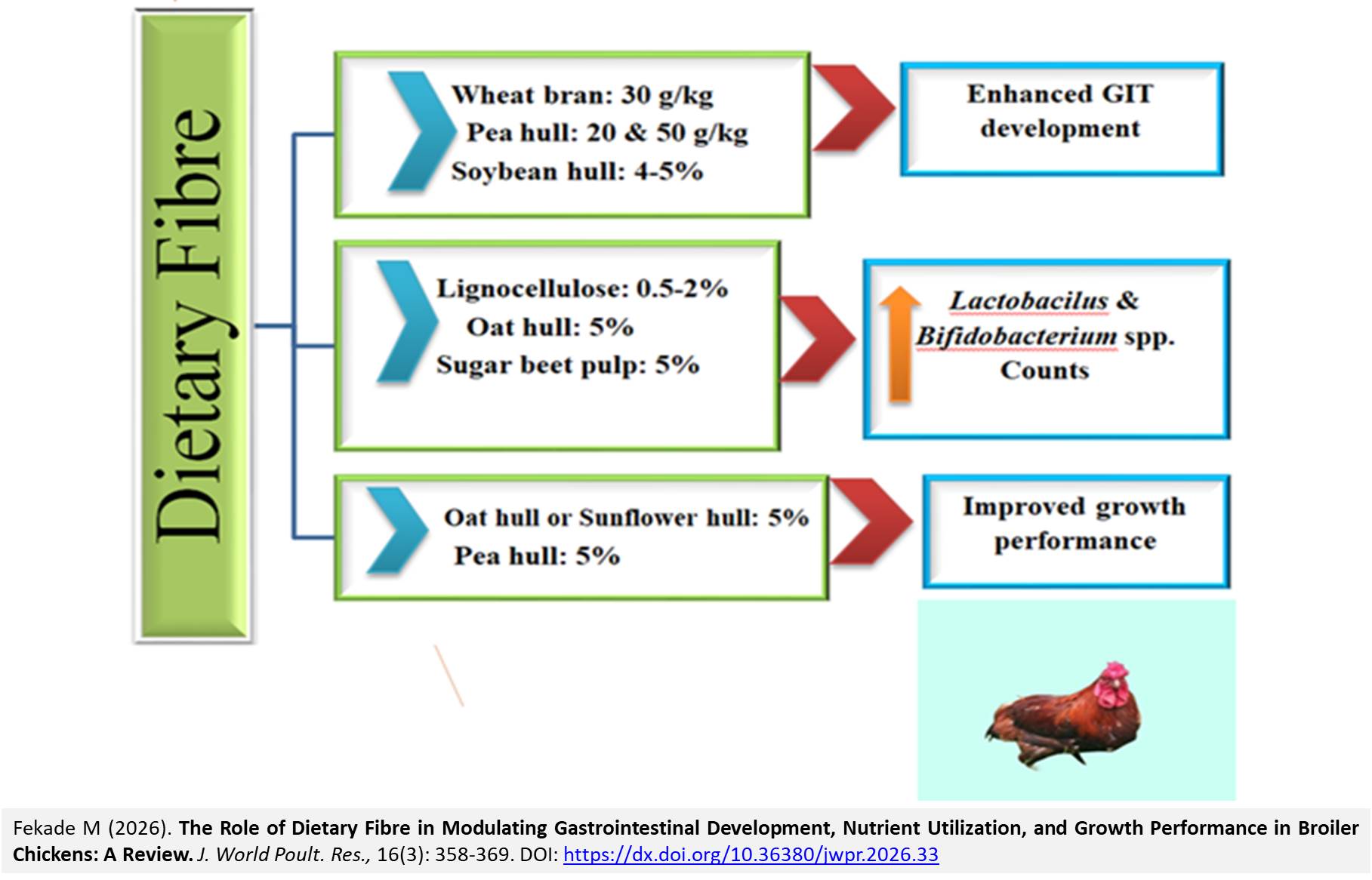 544-Growth_Performance_in_Broiler_Chickens_A_Review