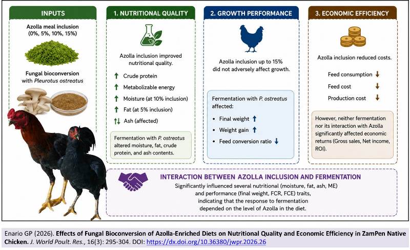 558-Azolla-Enriched_Diets_in_ZamPen_Chicken