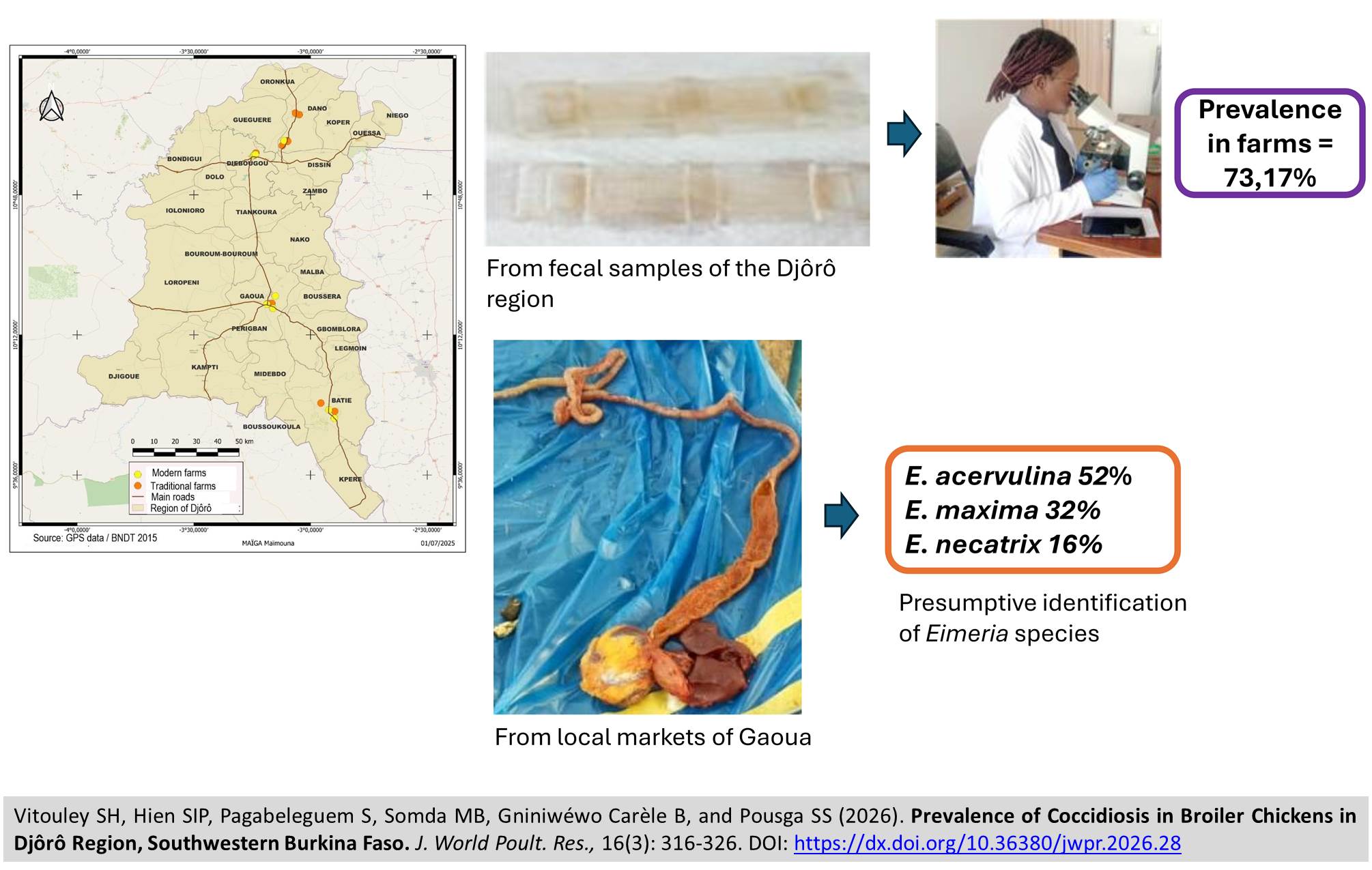565-Prevalence_of_Coccidiosis_in_Broiler_Chickens_in_Southwestern_Burkina_Faso